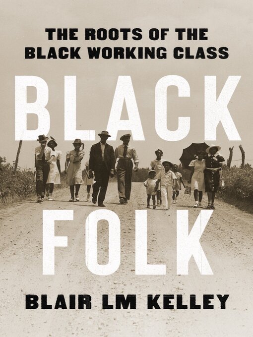 Title details for Black Folk by Blair LM Kelley - Wait list